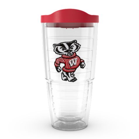 Wisconsin Badgers Bucky Badger Mascot