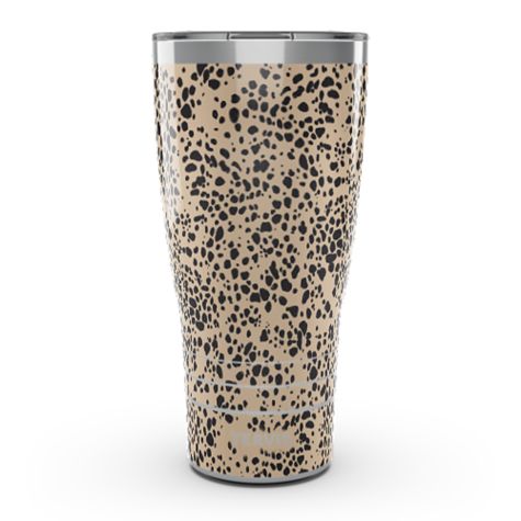 Sleek Cheetah