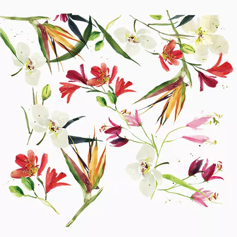 Kelly Ventura - Paradise Blooms
