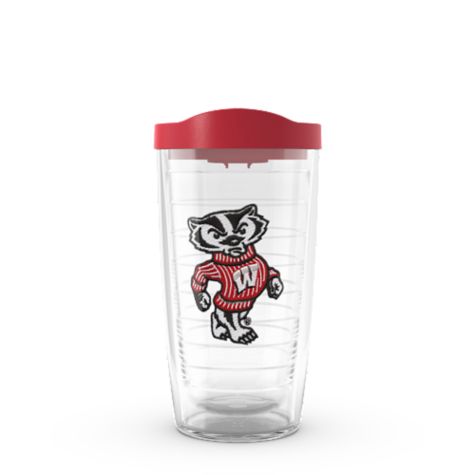 Wisconsin Badgers Bucky Badger Mascot