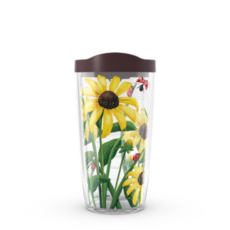 Black-Eyed Susan